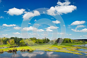 River flood waters wallpaper, Narew, Poland