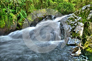 River flow / Ecology scene