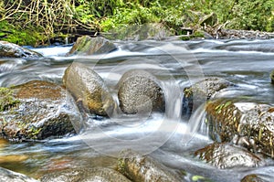 River flow / ecology scene HDR