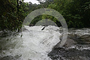 River flow between hill valleys