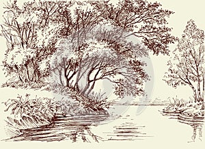 River flow in the woods