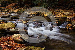 River Flowing With Autumn Leaves and Rocks Smoky Mountains National Park