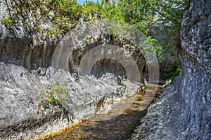 River flowing through the canyon - Cheile Banitei Romania - mountain landscape