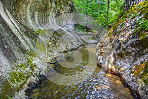 River flowing through the canyon - Cheile Banitei Romania - mountain landscape