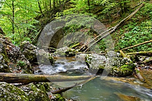 River flowing through the canyon - Romania mountain landscape