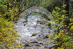 River flowing down the mountain surrounded by rocks and autumn colored leaves