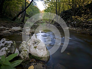 river flowing through the forest, calm moody nature background, long exposure, peaceful green environment