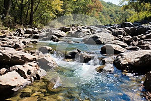 a river flowing through a forested area with rocks and trees