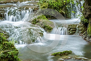 River flowing in green forest. Long exposure