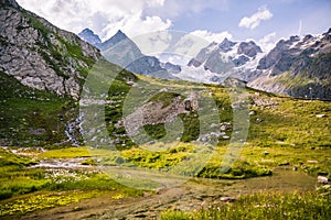 River Flowing in Green Landscape with Shelter and Iconic Mont-Blanc Glacier in the Background