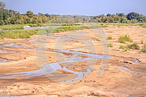 River flowing through Kruger National Park at sunrise with the moon setting behind a tree