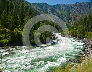 A River Flowing Through a Mountain Forest photo