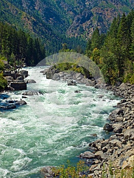 A River Flowing Through a Mountain Forest