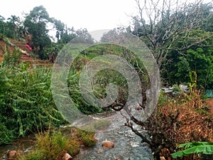 A river flowing through normal vegetation