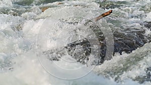 River flowing over rocks, close up detail, rapid white water around fallen tree branch, slow motion video