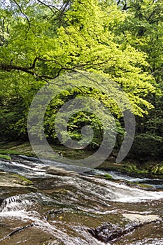 River flowing rock mass