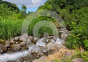 River stream flowing on rocks through green forest, Iao Valley State Park, Hawaii