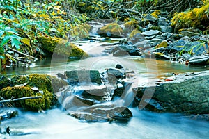 River flowing through stony bottom