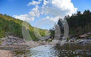 River Flowing During Sunny Afternoon