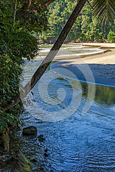 River flowing towards the sea through rainforest at beach