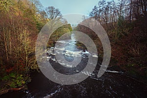 A river is flowing among trees in a public park