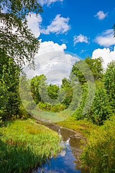 River flowing in Trei Ape Lake in Semenic Mountains