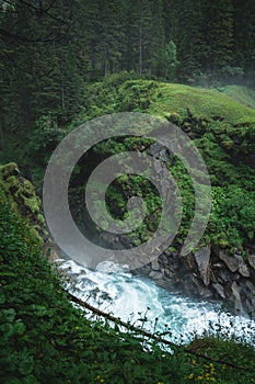 River flowing trough the forest.