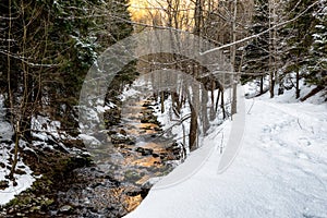 River flowing through valley called Kvacianska dolina in winter season