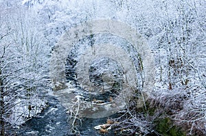 River flowing through the white snowy forest