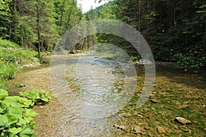 Rieka preteká oblasťami Národného parku Slovenský raj