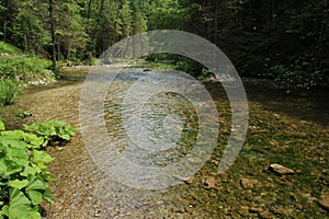 The river flows through the areas of the Slovak Paradise National Park