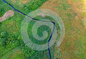 River flows through the green meadow with trees, aerial view