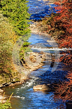 River flows by rocky shore near the autumn mountain forest