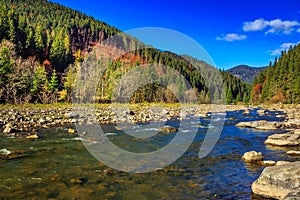 River flows by rocky shore near the autumn mountain forest