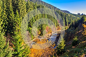 River flows by rocky shore near the autumn mountain forest