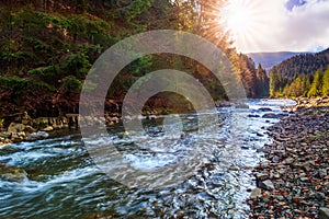 River flows by rocky shore near the autumn mountain forest