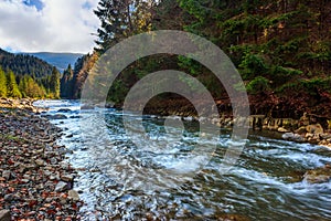 River flows by rocky shore near the autumn mountain forest