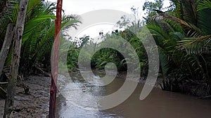 The river that flows into the sea with a muddy nypah forest ecosystem