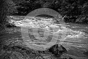 River flows, black and white image