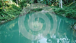 River flows through tropical rain forest