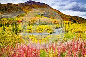 Fall colors on the tundra