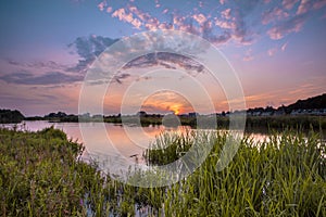 River forelands near Wageningen