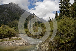 River with the forest