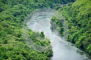 The river in forest