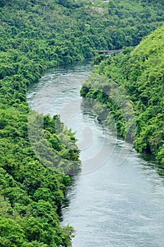 The river in forest