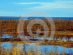 River and forest. Autumn landscape on the Yamal Peninsula under