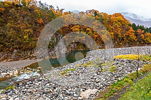 River and forest autumn season