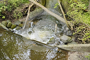 River in the forest of Bornholm - beautiful green natural wild forest in island of Denmark