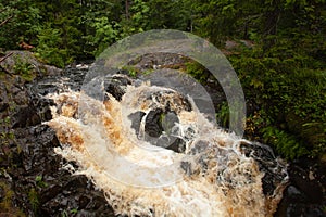 River in forest, fast water flow, waterfall