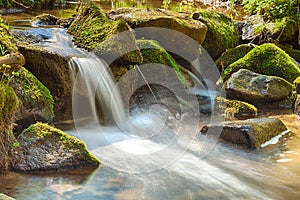 The river in the forest - HDR